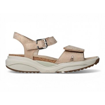 XSensible - 30320.5.434